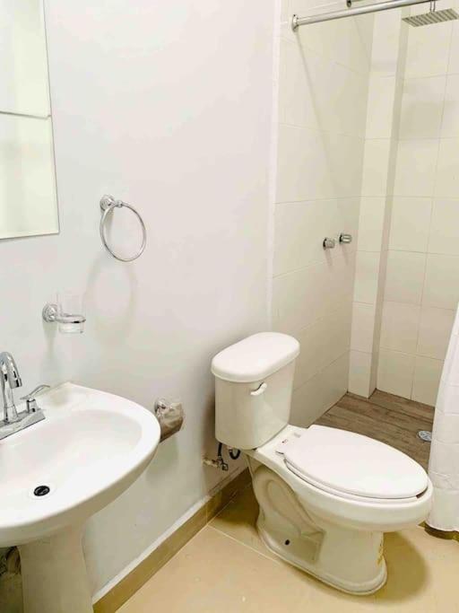 Apartment Loft Hermoso Con Estacionamiento Gratuito *